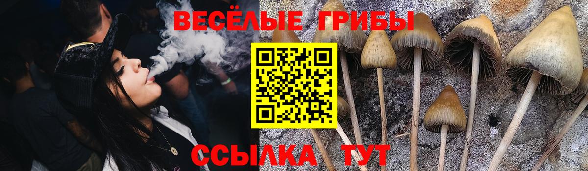 Галлюциногенные грибы ЛСД  Вход с VPN  Тула 